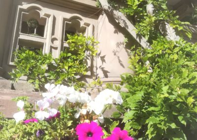 Le printemps au jardin au castelnau