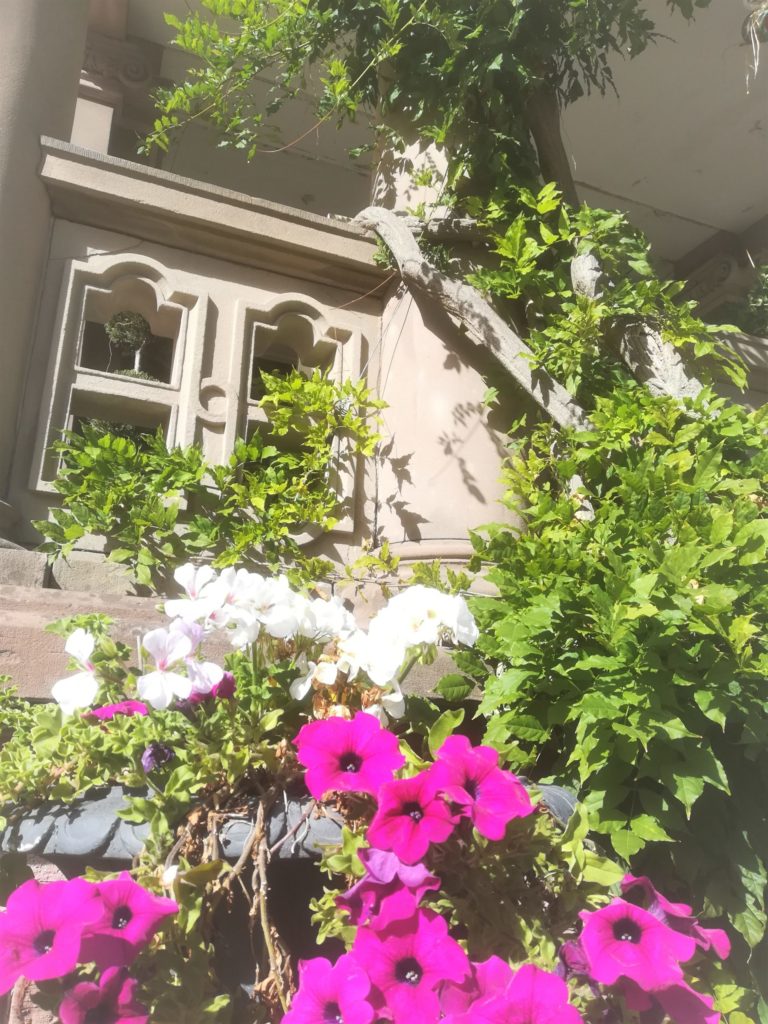 Le printemps au jardin au castelnau