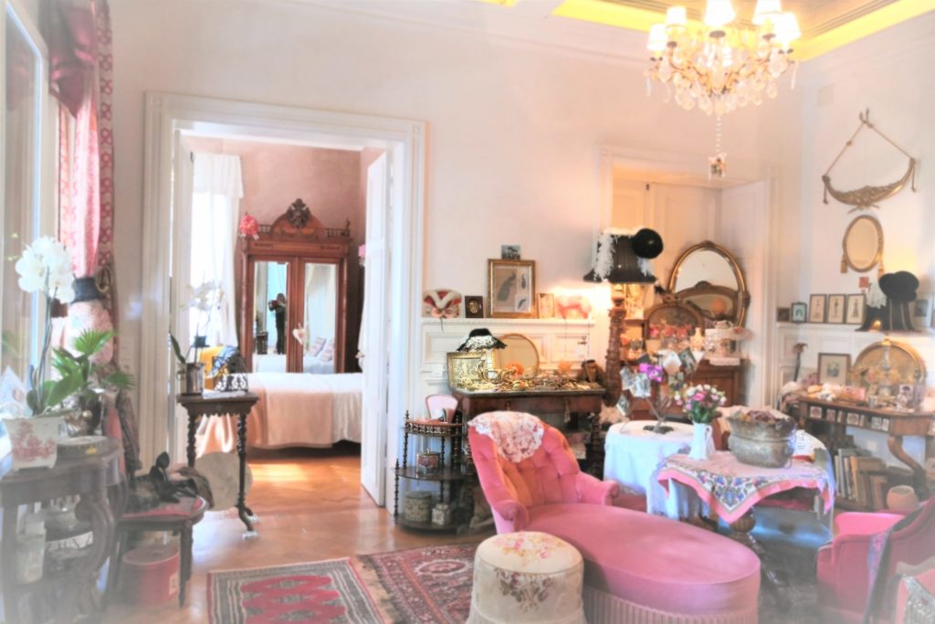 Mes chines au fil du temps