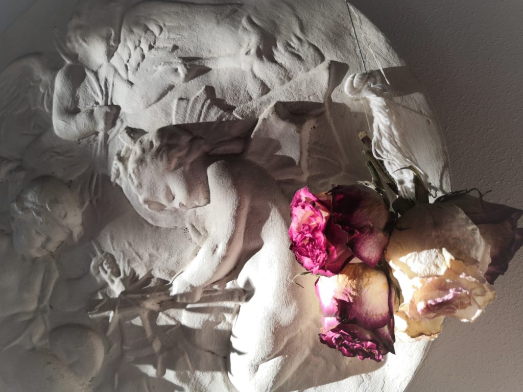 Lumières et contrastes